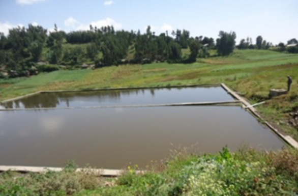 Irrigation System Study and Design