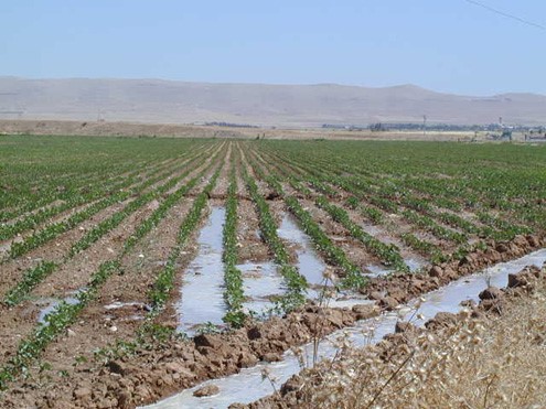 Water Resources Management Strategy Development