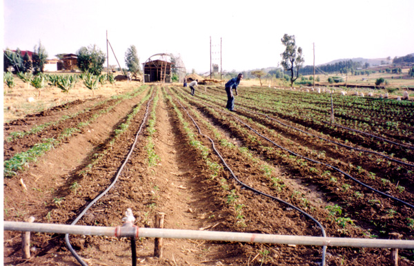 Hawassa Storm Drainage Project