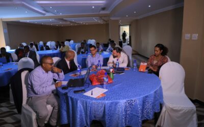 Assessment Workshop for Jimma and Nekemte CWIS Projects: Feasibility Study Draft